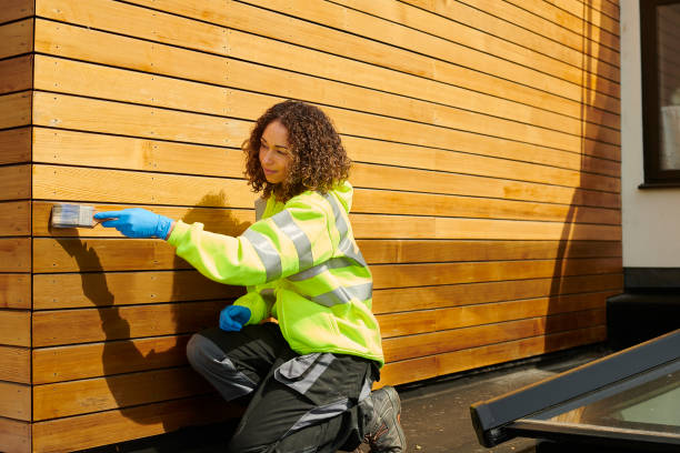 Best Stucco Siding  in Pinckneyvle, IL