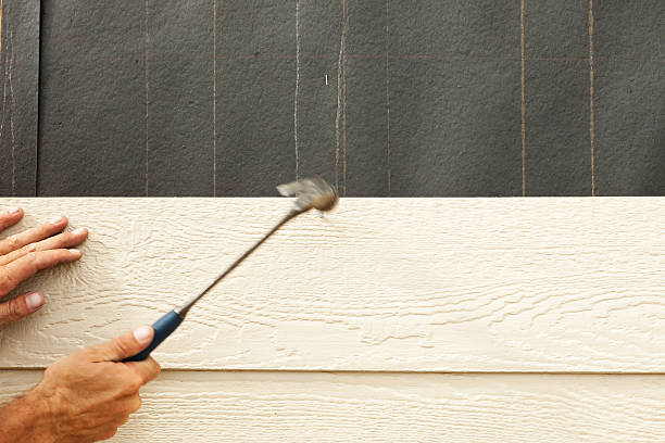 Affordable Siding Repair and Maintenance Services in Pinckneyville, IL